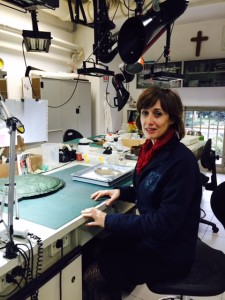 etruscan treasures 2