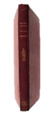 Detail of the Spine - After